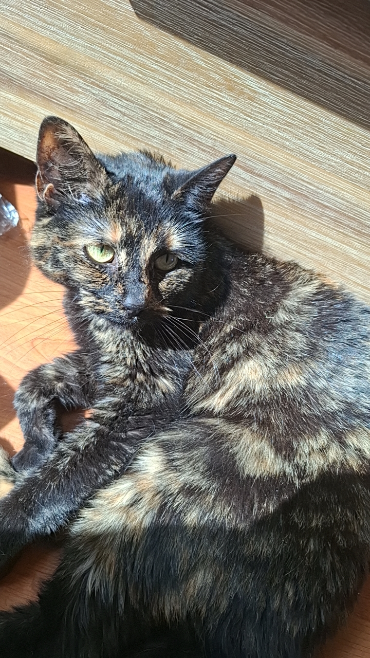 Profielfoto Hannie